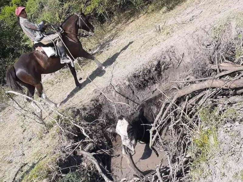 Panorama desolador: crece la angustia por la sequía en Vera