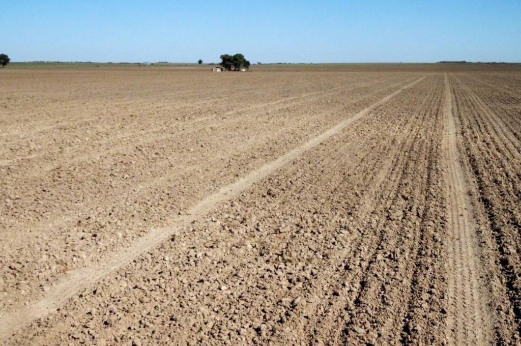 Una ola de calor permanecerá en la provincia de Santa Fe hasta el lunes próximo