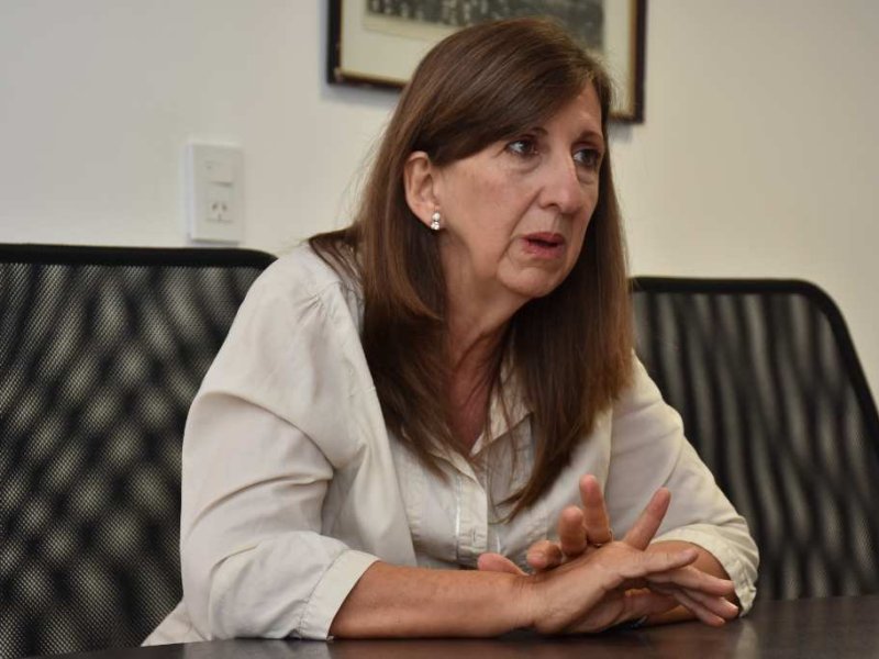 Chialvo, sobre la nena abusada: «Está bajo la protección del Estado»