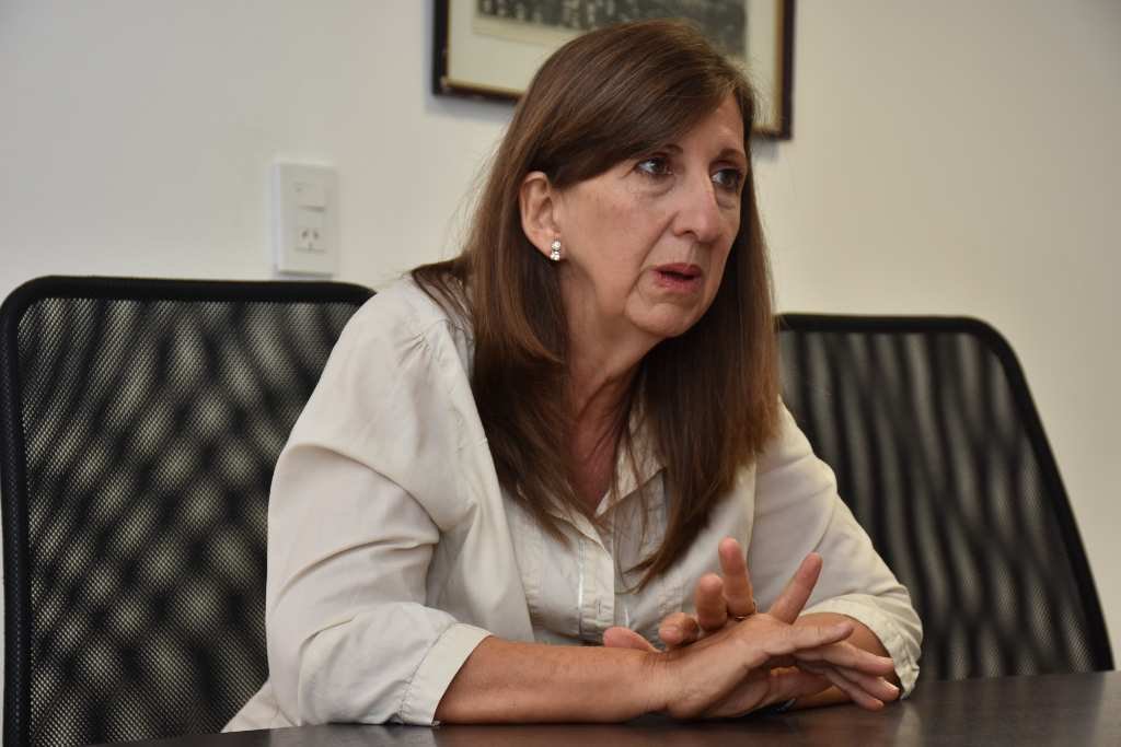 Chialvo, sobre la nena abusada: «Está bajo la protección del Estado»