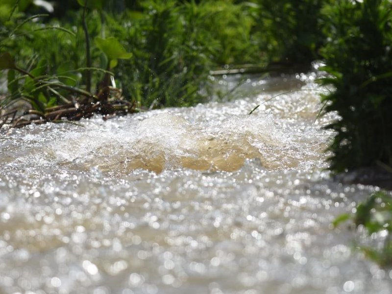 Una mirada académica al cuidado del agua