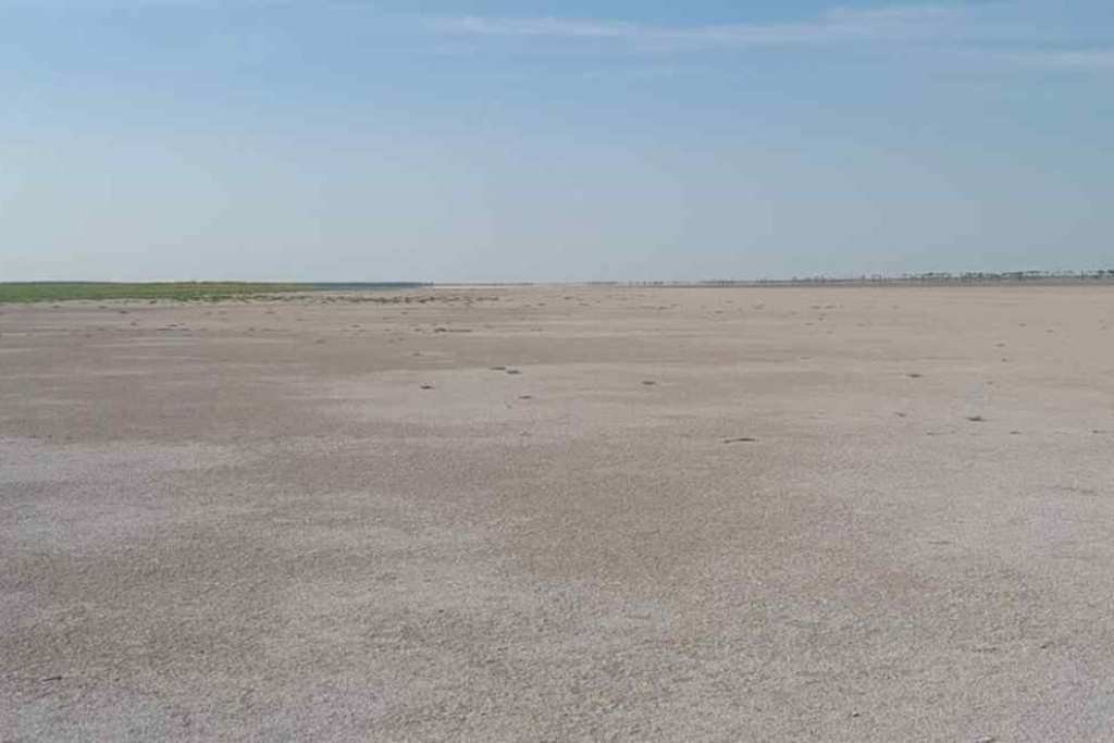 Dos lagunas se secaron completamente en el norte de Santa Fe