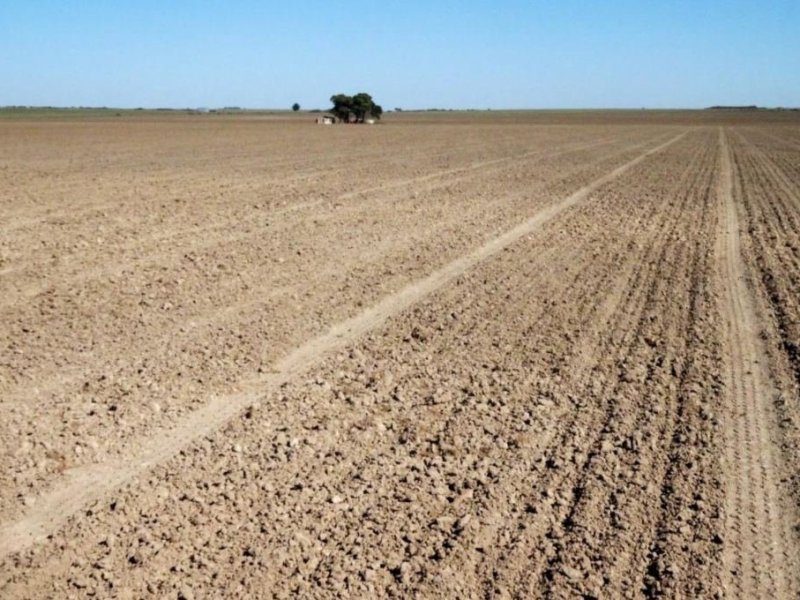 El Ministerio de Economía de la Nación prorrogó la emergencia agropecuaria en la provincia