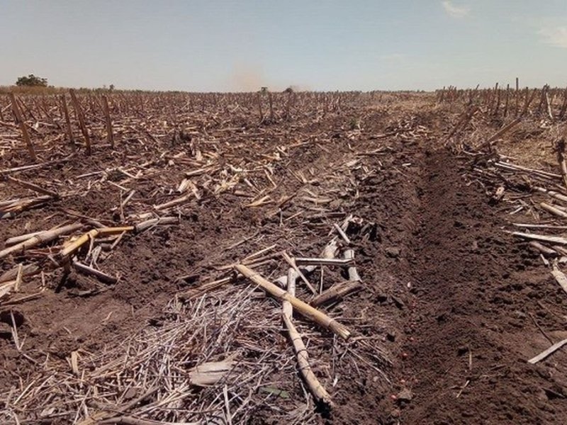 La situación crítica de los productores rurales en Entre Ríos ante la falta de lluvias