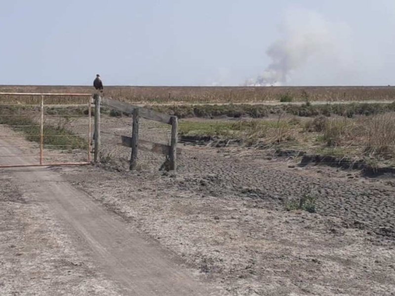 La mayor parte de la provincia de Santa Fe está en rojo por la sequía severa