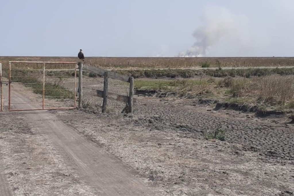 La mayor parte de la provincia de Santa Fe está en rojo por la sequía severa