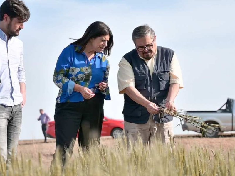 Clara García reclamó que se agilicen de manera urgente «las medidas de emergencia para el campo de Santa Fe»