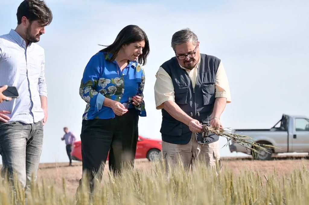 Clara García reclamó que se agilicen de manera urgente «las medidas de emergencia para el campo de Santa Fe»