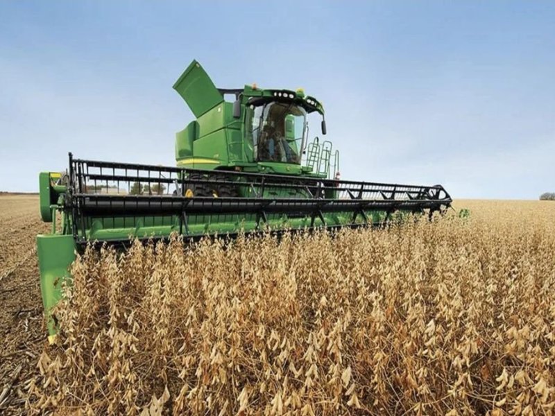 Las toneladas de cereales negociadas aumentaron un 26% en enero