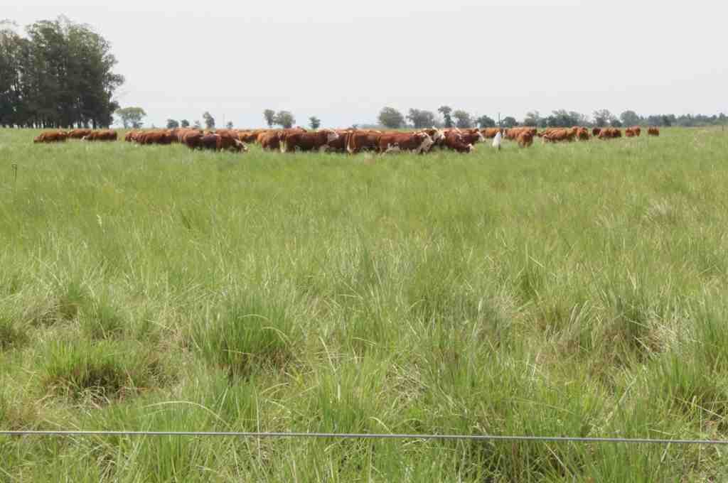 Jornada de capacitación en riesgos, producción y sustentabilidad del agro