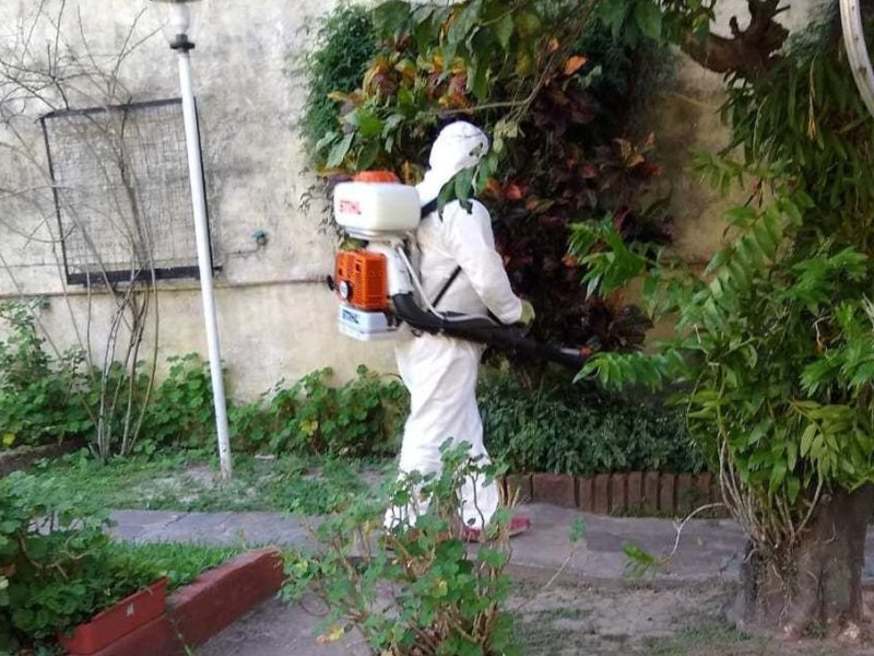 1.300 casos nuevos de dengue en la provincia de Santa Fe