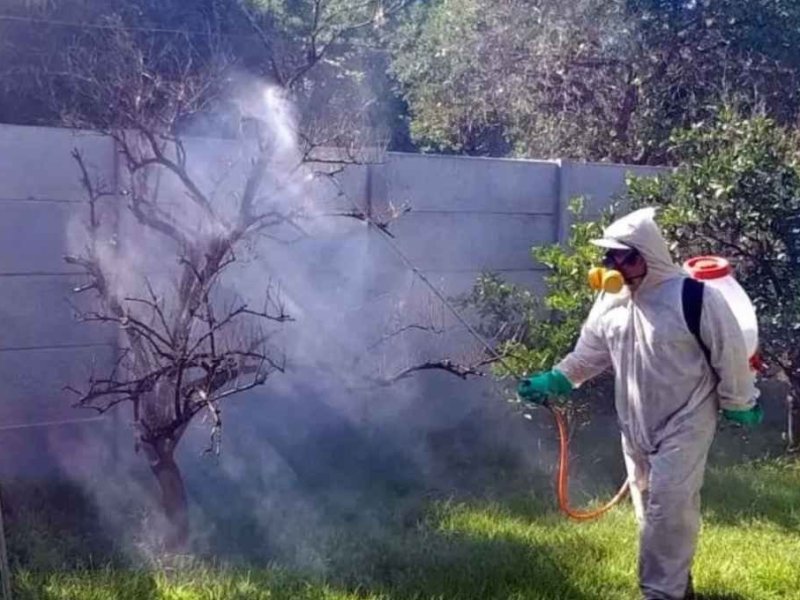 Rafaela superó los 200 casos de dengue