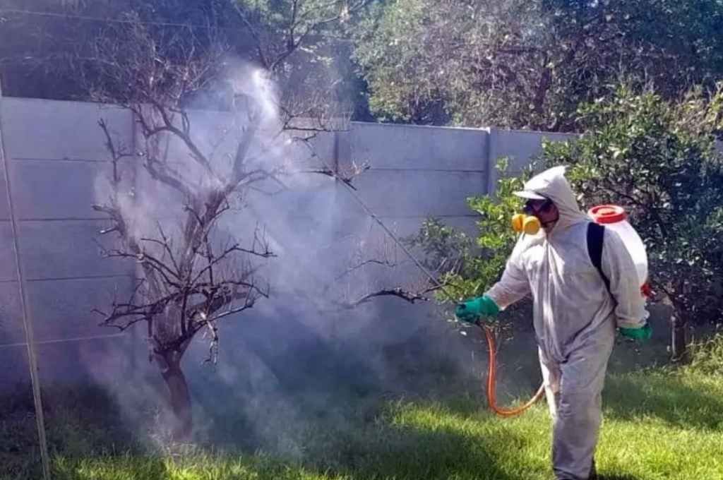 Rafaela superó los 200 casos de dengue