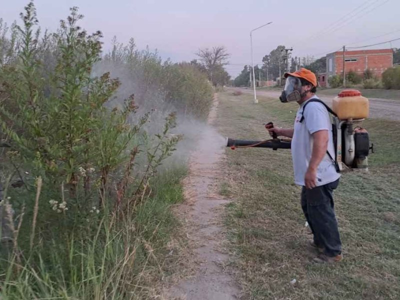 El Trébol, con ocho casos de dengue y cuatro en análisis
