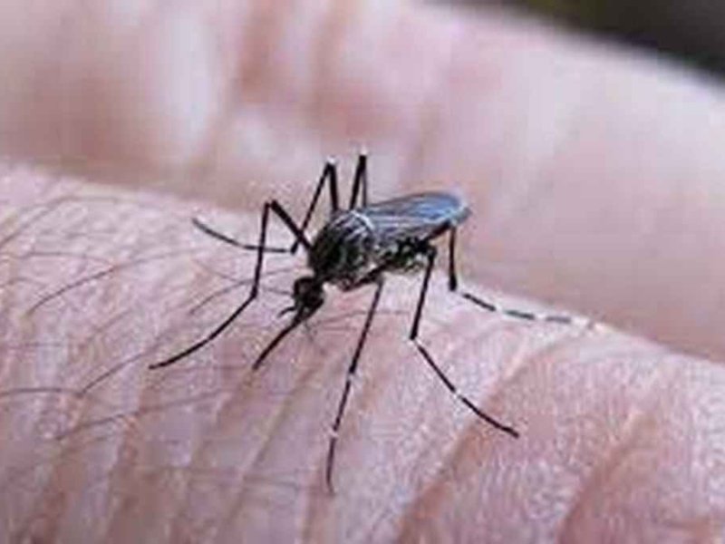 Venado Tuerto: primera persona afectada con dengue