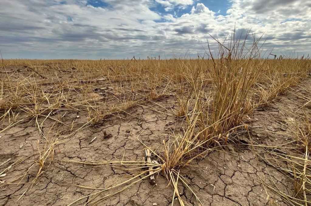 La sequía provocó la merma en casi 2.000.000 de toneladas de granos