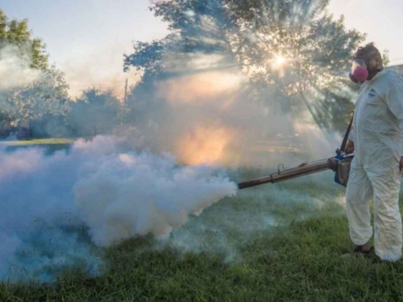 Aumento de casos de dengue en el sur provincial