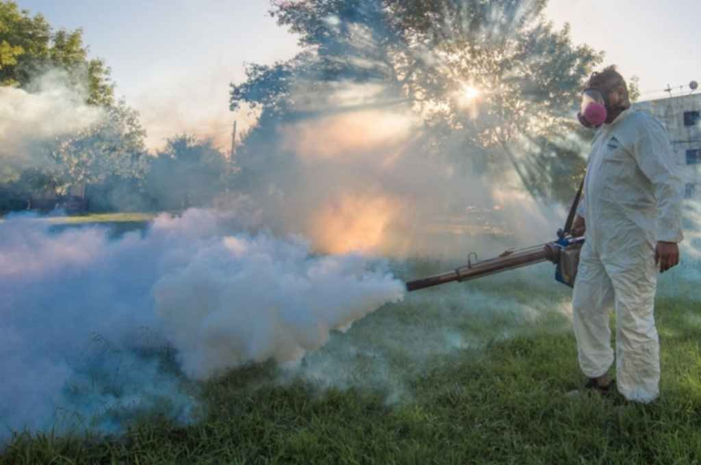 Aumento de casos de dengue en el sur provincial