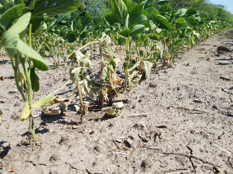 El Estado santafesino extendió el apoyo a productores agropecuarios