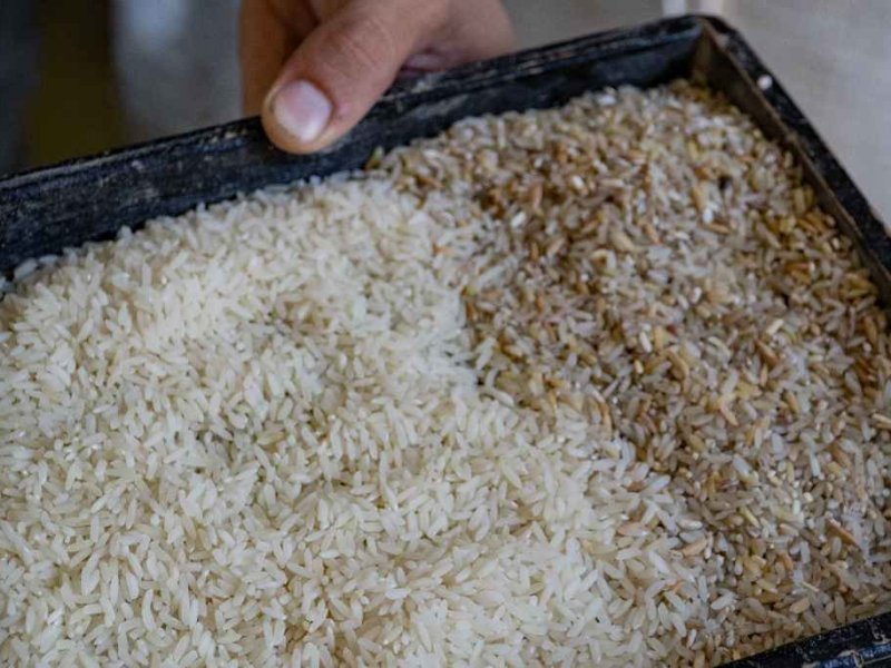 Aseguran que el dólar agro hará aumentar los precios finales del arroz