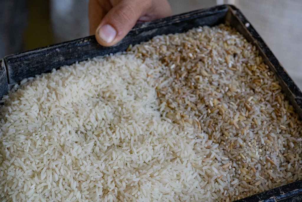 Aseguran que el dólar agro hará aumentar los precios finales del arroz