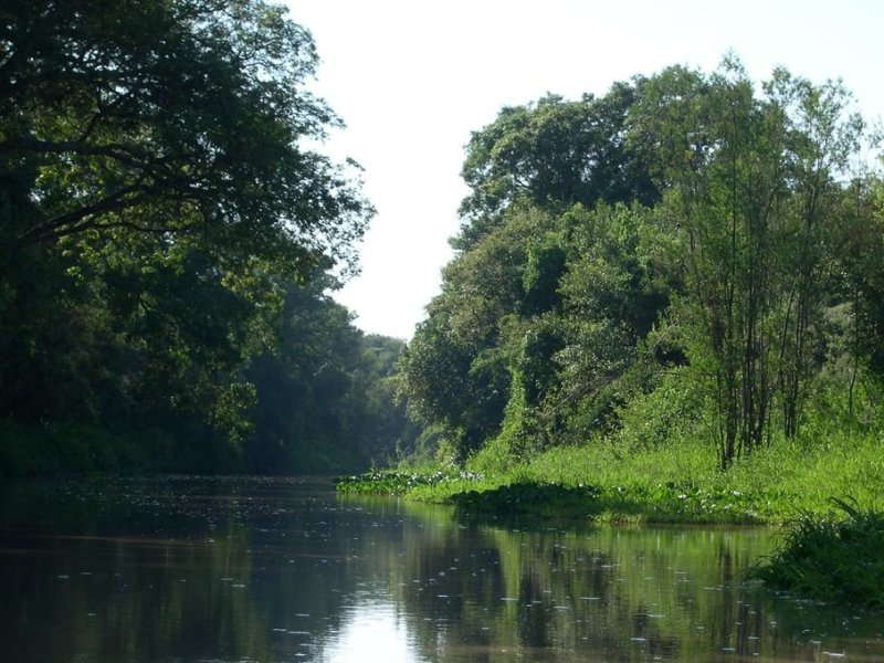 Ven como una oportunidad histórica la creación del Parque Nacional Jaaukanigás