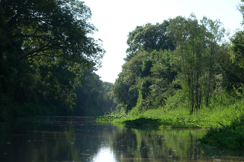 Ven como una oportunidad histórica la creación del Parque Nacional Jaaukanigás