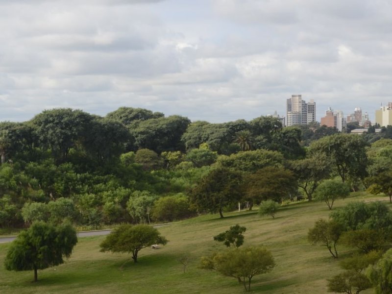 Invitan a una caminata para redescubrir el Parque Nuevo
