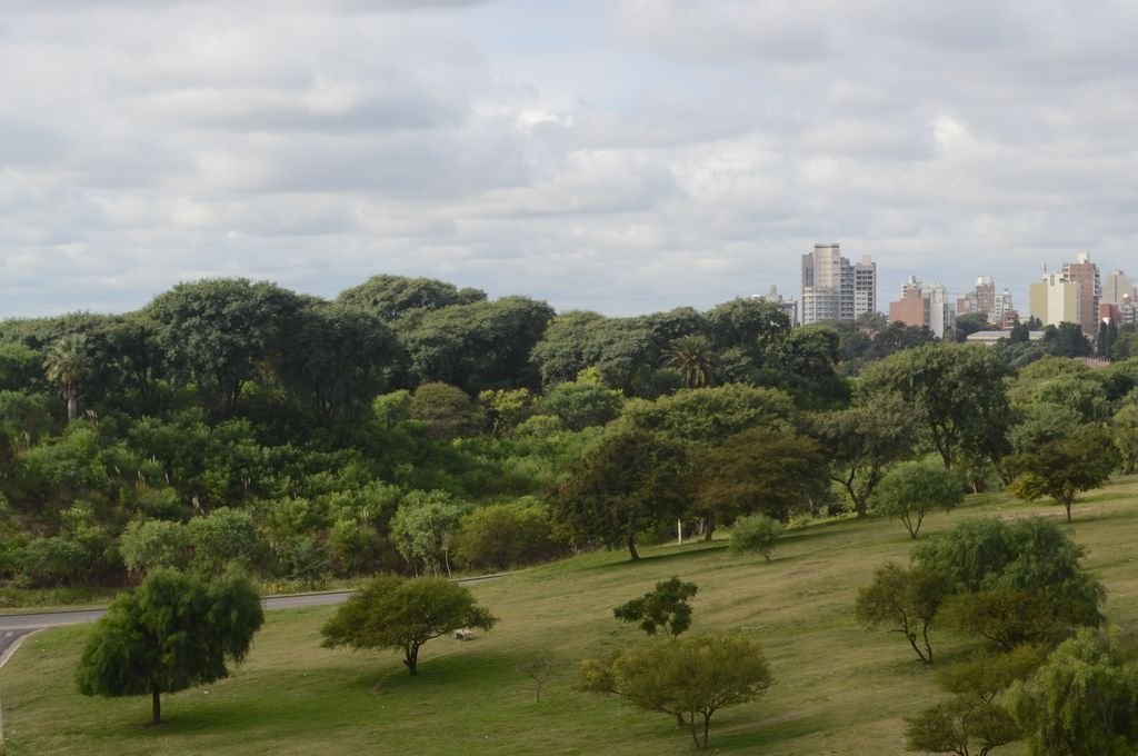 Invitan a una caminata para redescubrir el Parque Nuevo