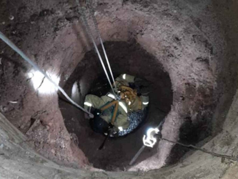 El Trébol: bomberos rescataron a un cerdo que cayó a la profundidad de un aljibe
