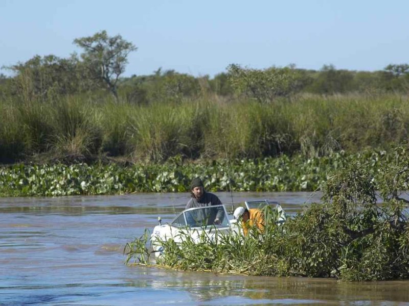 La recuperación de las islas del Litoral después de La Niña