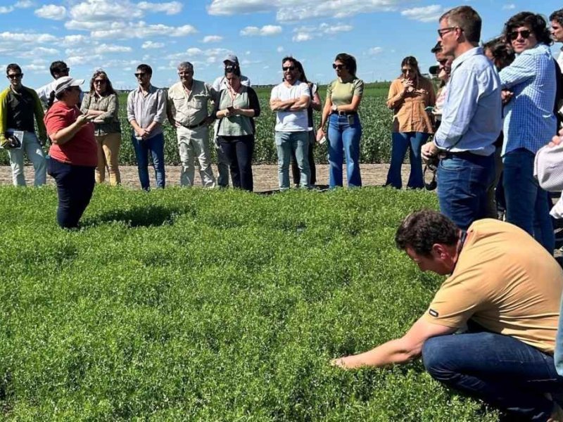 Empresarios santafesinos en una misión histórica para la actividad legumbrera