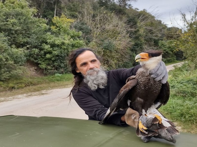 Rescataron un carancho atrapado por una línea de pesca