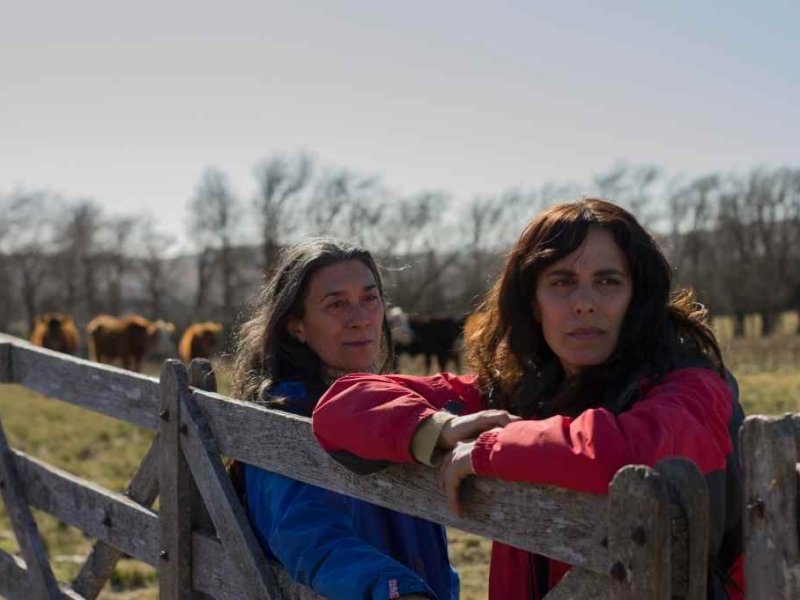 El film de Santiago Loza «Amigas en un camino de campo» estrenará en cine El Cairo