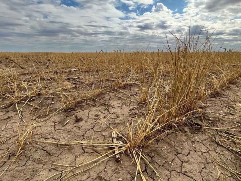 Créditos a productores agropecuarios con tasas subsidiadas del Gobierno santafesino