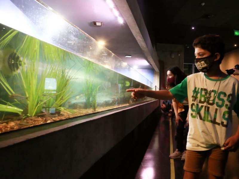 Rosario: una feria para los más chicos en el acuario