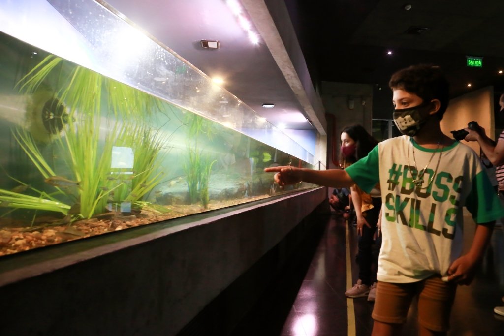 Rosario: una feria para los más chicos en el acuario