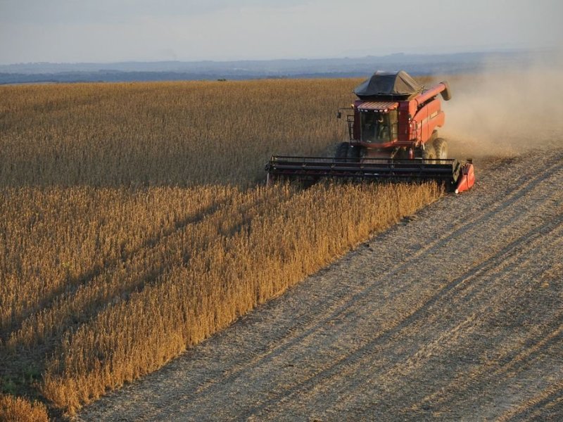 El Niño moderado: retos y oportunidades en la producción agropecuaria