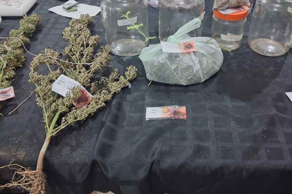Detenido por maltratar a su pareja y por tenencia de marihuana