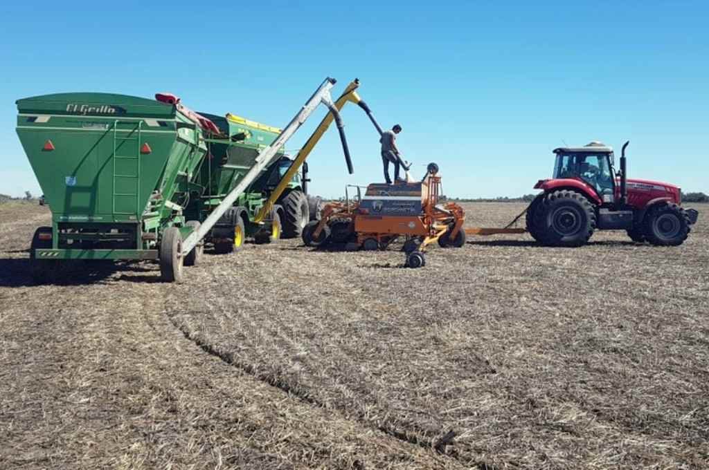 Si las lluvias acompañan, el agro aportaría US$ 34 mil millones