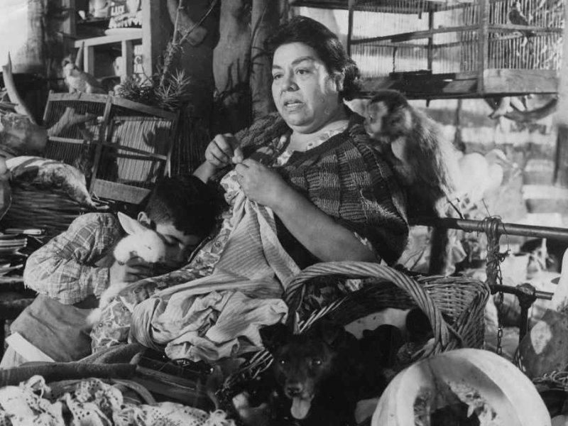 Día del Cine Santafesino: se recuerda a Birri, «Tiré dié» y la labor de Arch