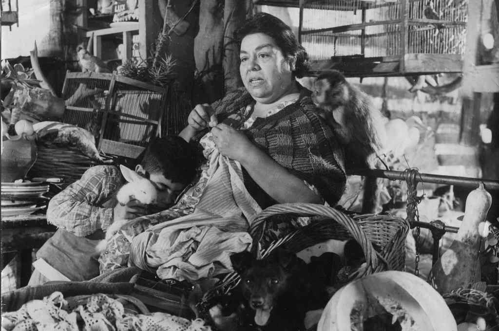 Día del Cine Santafesino: se recuerda a Birri, «Tiré dié» y la labor de Arch