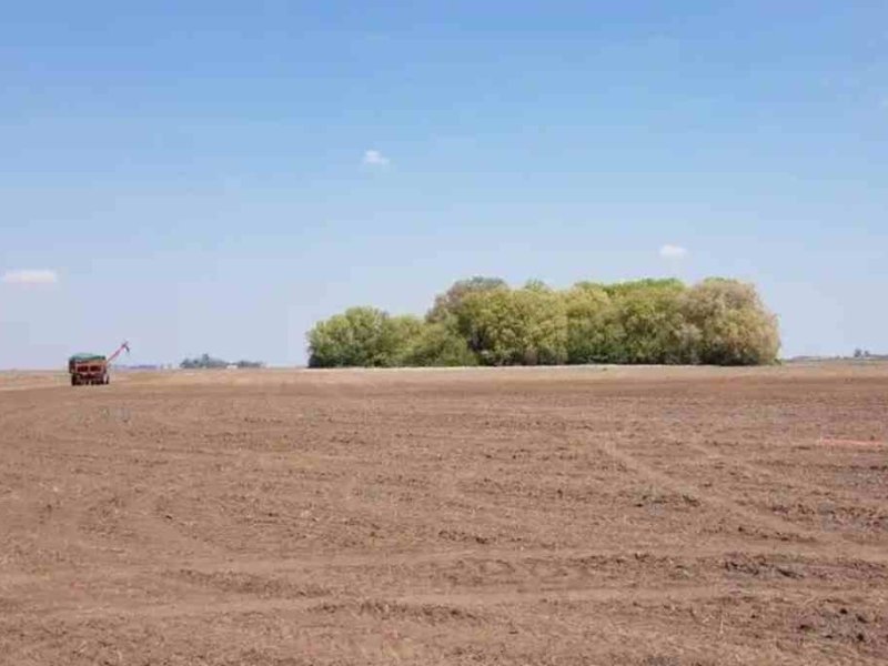 El campo santafesino enfrenta problemas como sequía, falta de insumos y escaso financiamiento