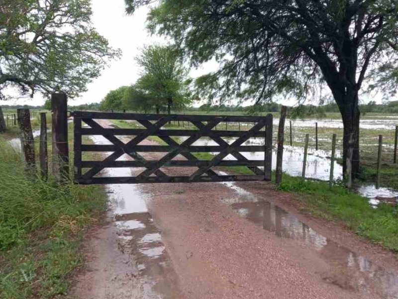 Aparecieron las lluvias en toda la provincia de Santa Fe