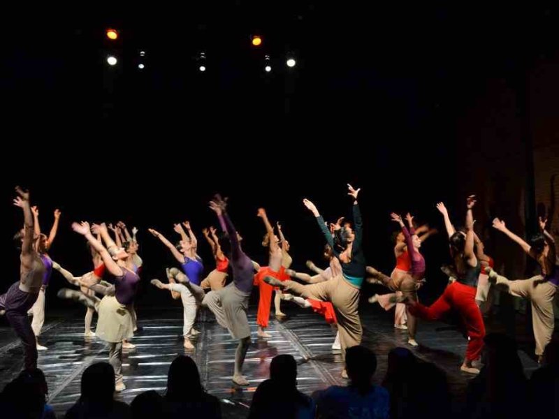 Llega el festival «Diente de león» con talleres, obras y performances de artivismos