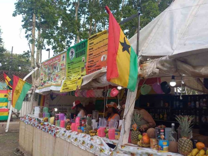 Rosario: Colectividades, la fiesta que siempre crece
