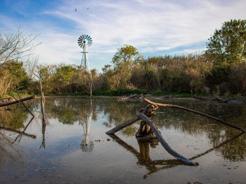 Cuál es la clave para conocer cómo crecerá el río Paraná en Santa Fe