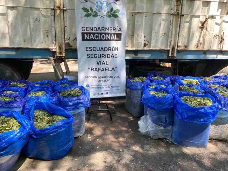 Ruta 34: hallaron 621 kilos de hojas de coca en un cargamento de porotos