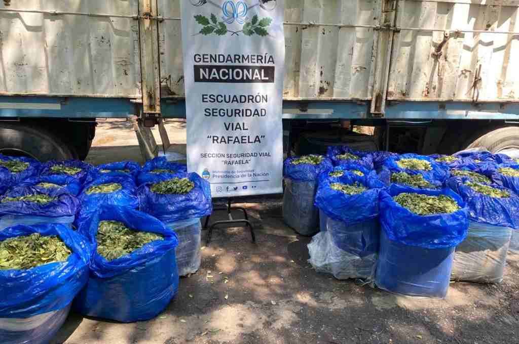 Ruta 34: hallaron 621 kilos de hojas de coca en un cargamento de porotos