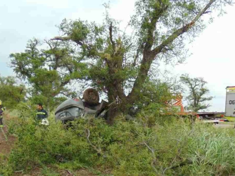 Accidente fatal en ruta 8 a la altura de Maggiolo